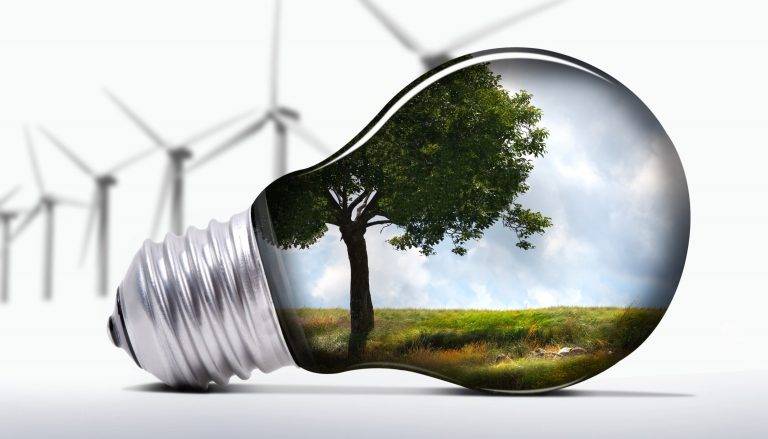 La continua crescita della green economy